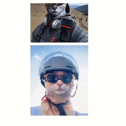 3D Cat Design Full Face Balaclava | Breathable Summer UV Sun Shield - GiftMira