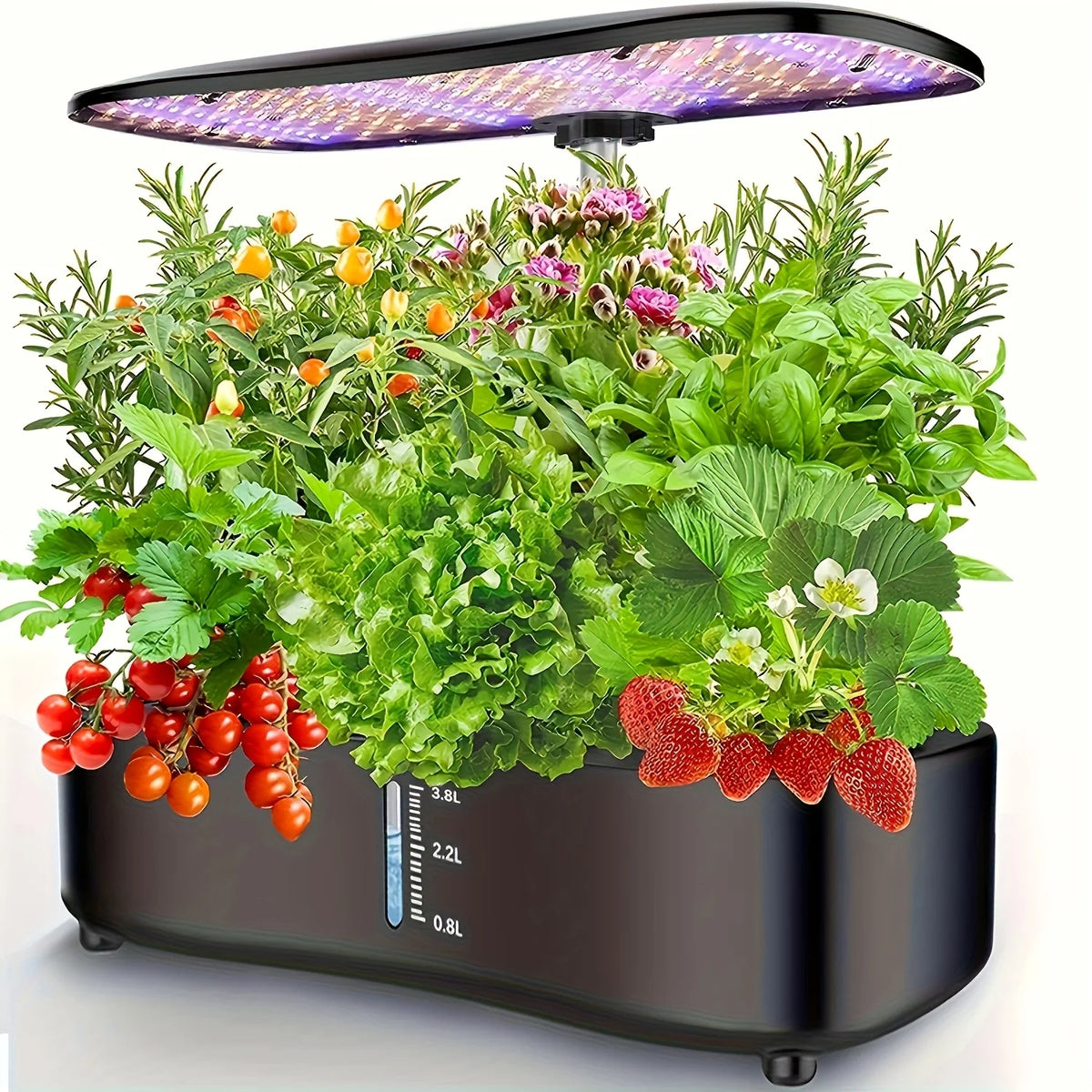 Smart indoor herb garden kit in black with 12 pods of herbs, strawberries and tomatoes under a full-spectrum LED grow light