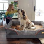 CloudComfort Jumbo Orthopedic Dog Sofa - Professional Joint Support for Large Breeds - GiftMira