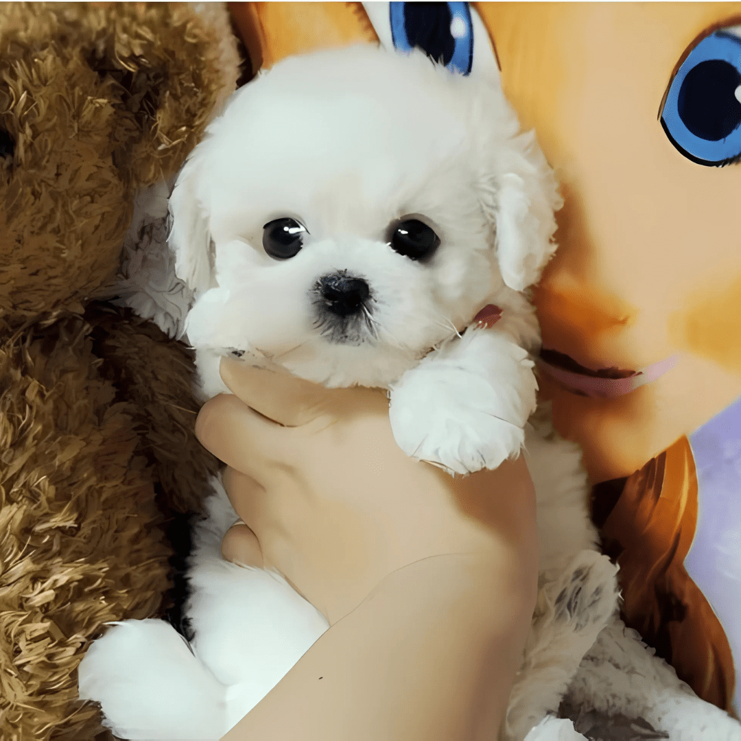 Cuddle Cushion Lifelike Plush Puppy Toy - GiftMira