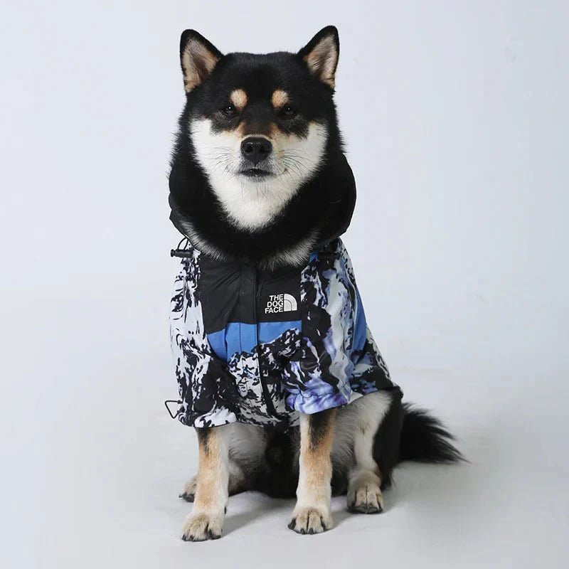 Dog Windbreaker Raincoat with Hoodie - GiftMira