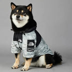 Dog Windbreaker Raincoat with Hoodie - GiftMira