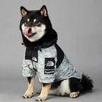 Dog Windbreaker Raincoat with Hoodie - GiftMira