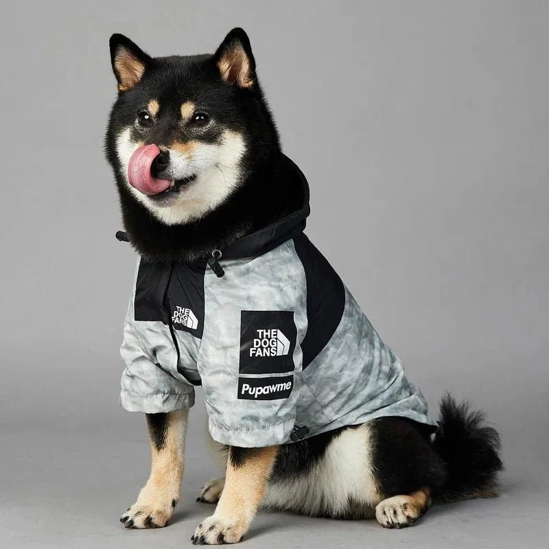 Dog Windbreaker Raincoat with Hoodie - GiftMira