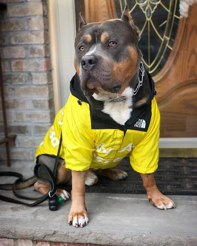 Dog Windbreaker Raincoat with Hoodie - GiftMira