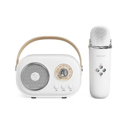 EchoVibe: Bluetooth Karaoke Speaker | TF Card, FM Radio, HiFi Bass, Hands - Free Calls - GiftMira