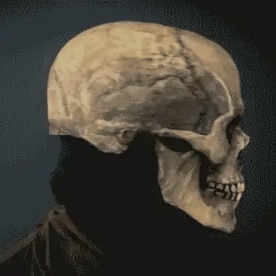 Halloween Movable Jaw Realistic Skull Mask - Best Full Head Latex Cosplay Mask - GiftMira