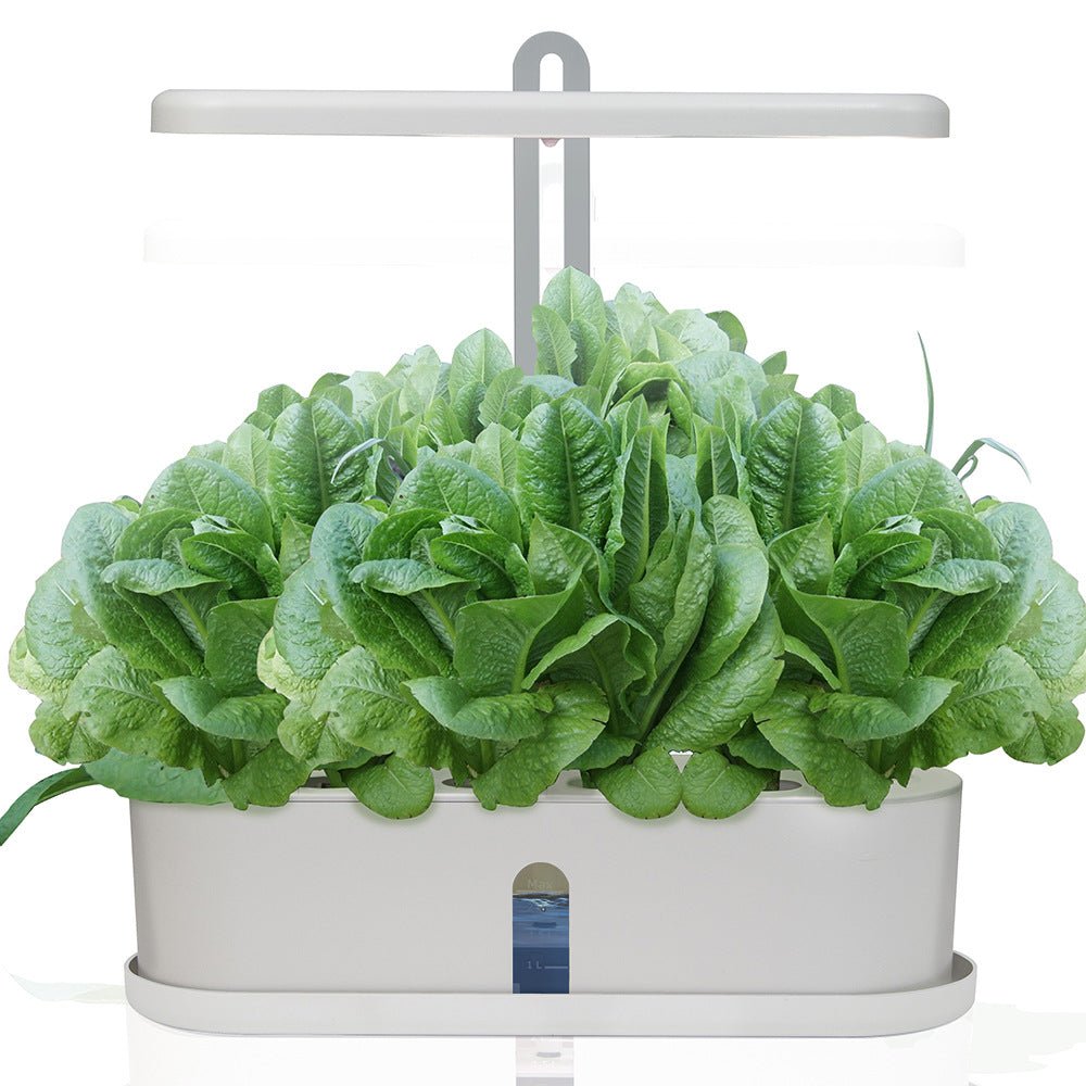Indoor Herb Garden Hydroponic Kit 12 - Pod – Smart LED Grow Light, Auto Timer, Basil Mint Cilantro Gift - GiftMira