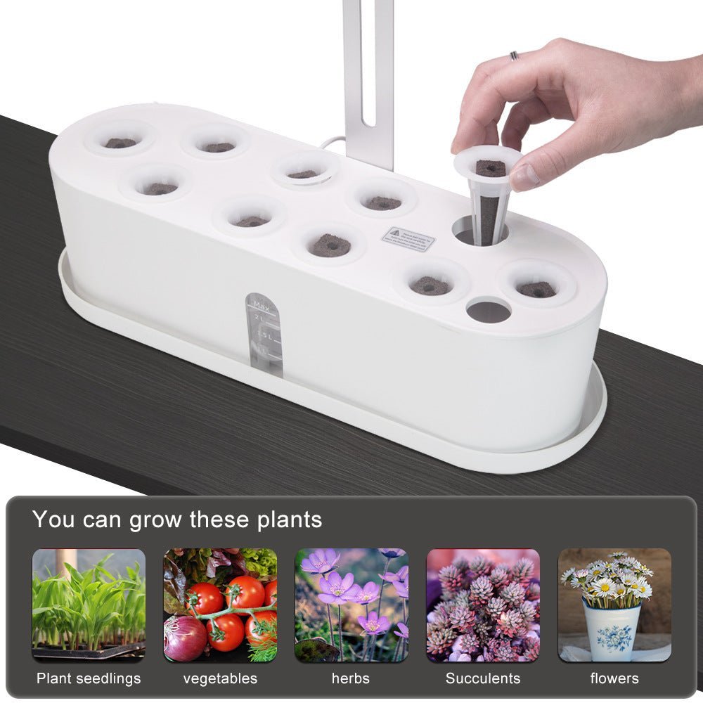 Indoor Herb Garden Hydroponic Kit 12 - Pod – Smart LED Grow Light, Auto Timer, Basil Mint Cilantro Gift - GiftMira