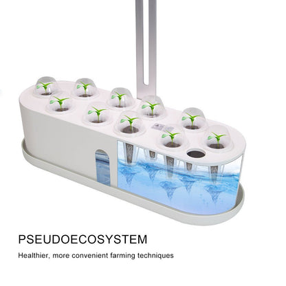 Indoor Herb Garden Hydroponic Kit 12 - Pod – Smart LED Grow Light, Auto Timer, Basil Mint Cilantro Gift - GiftMira