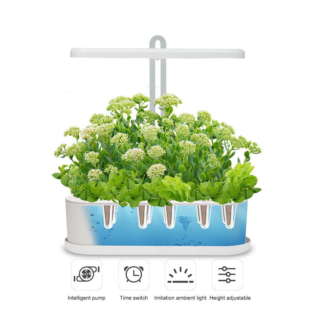 Indoor Herb Garden Hydroponic Kit 12 - Pod – Smart LED Grow Light, Auto Timer, Basil Mint Cilantro Gift - GiftMira