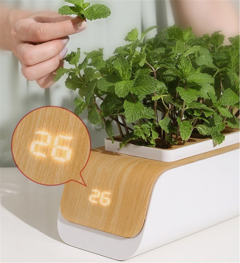Indoor Herb Garden Hydroponic Kit 12 - Pod – Smart LED Grow Light, Auto Timer, Basil Mint Cilantro Gift With Bambo Finishing - GiftMira