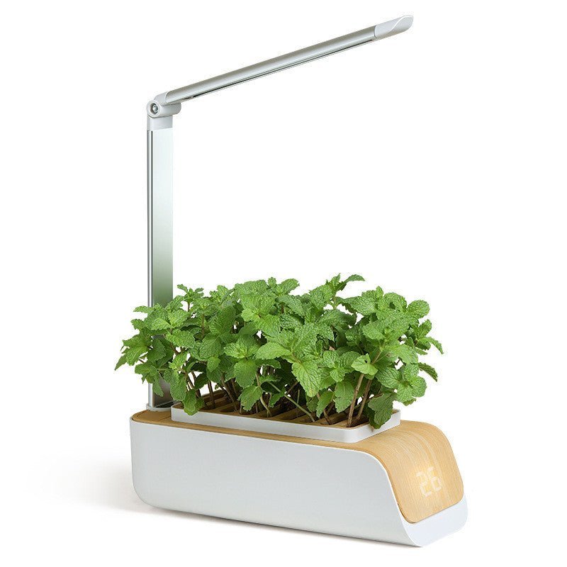 Indoor Herb Garden Hydroponic Kit 12 - Pod – Smart LED Grow Light, Auto Timer, Basil Mint Cilantro Gift With Bambo Finishing - GiftMira