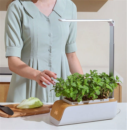 Indoor Herb Garden Hydroponic Kit 12 - Pod – Smart LED Grow Light, Auto Timer, Basil Mint Cilantro Gift With Bambo Finishing - GiftMira