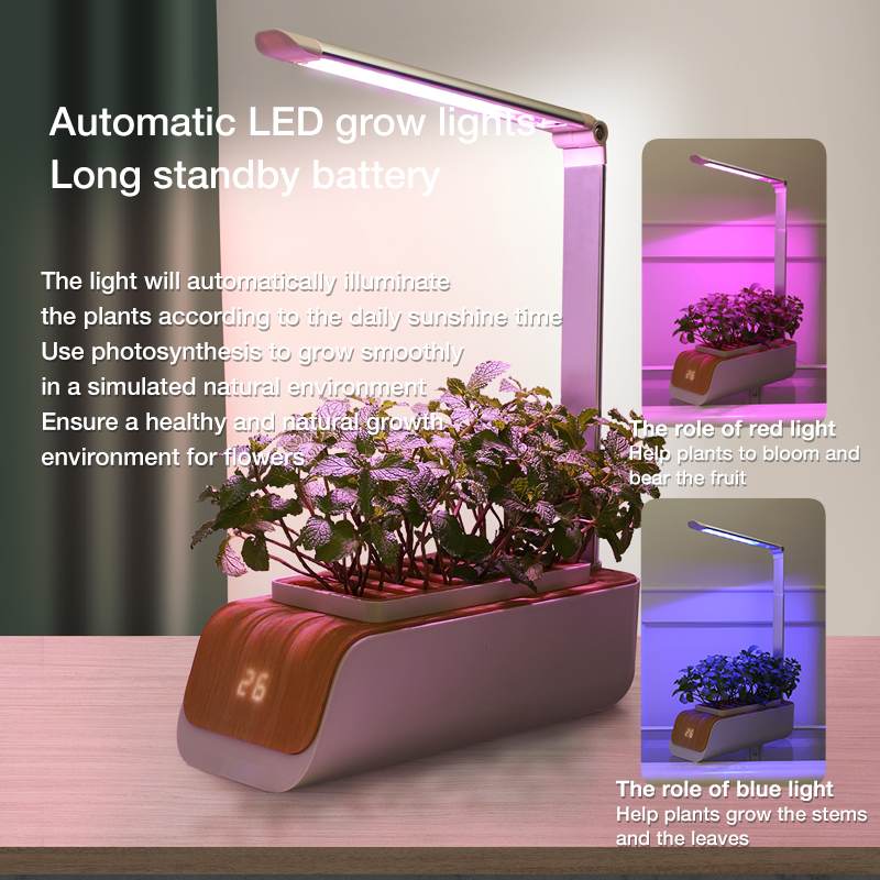 Indoor Herb Garden Hydroponic Kit 12 - Pod – Smart LED Grow Light, Auto Timer, Basil Mint Cilantro Gift With Bambo Finishing - GiftMira
