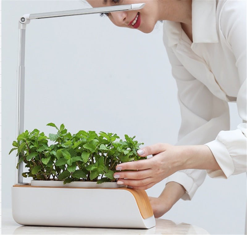 Indoor Herb Garden Hydroponic Kit 12 - Pod – Smart LED Grow Light, Auto Timer, Basil Mint Cilantro Gift With Bambo Finishing - GiftMira
