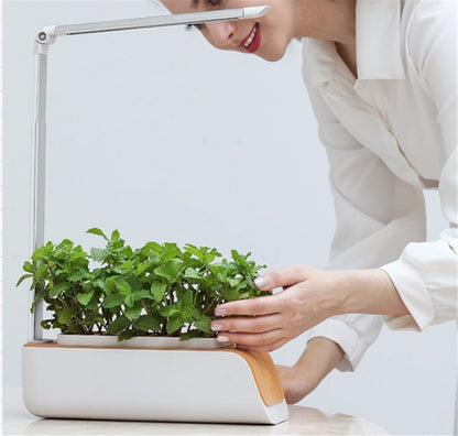 Indoor Herb Garden Hydroponic Kit 12 - Pod – Smart LED Grow Light, Auto Timer, Basil Mint Cilantro Gift With Bambo Finishing - GiftMira