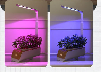 Indoor Herb Garden Hydroponic Kit 12 - Pod – Smart LED Grow Light, Auto Timer, Basil Mint Cilantro Gift With Bambo Finishing - GiftMira