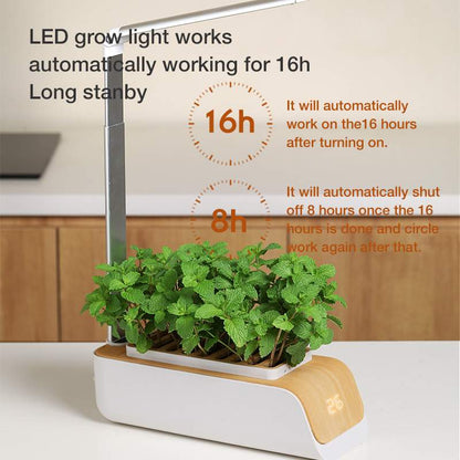 Indoor Herb Garden Hydroponic Kit 12 - Pod – Smart LED Grow Light, Auto Timer, Basil Mint Cilantro Gift With Bambo Finishing - GiftMira