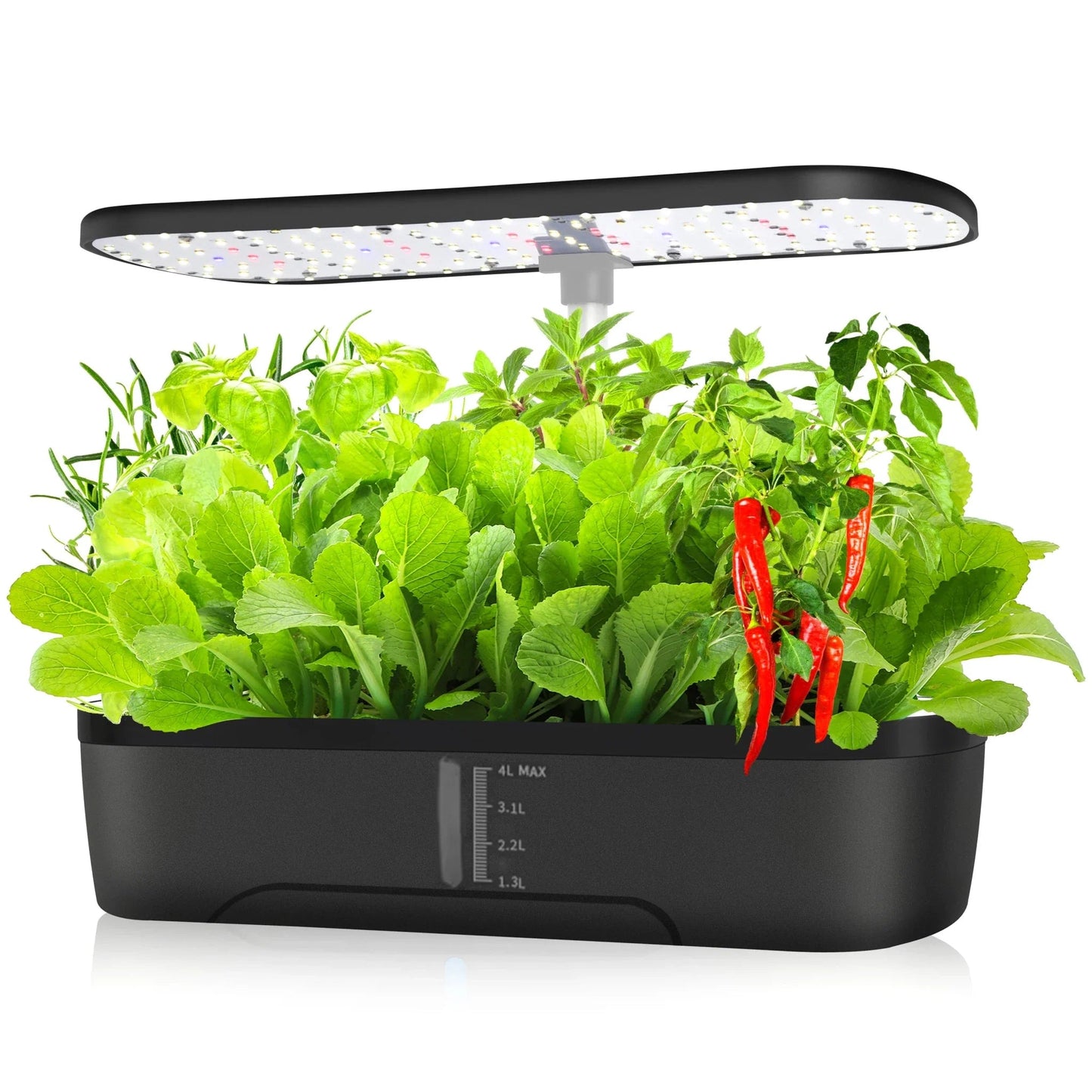 Indoor Herb Garden Hydroponic Kit 12 - Pod – Smart LED Grow Light, Auto Timer, Basil Mint Cilantro Home Gift - GiftMira