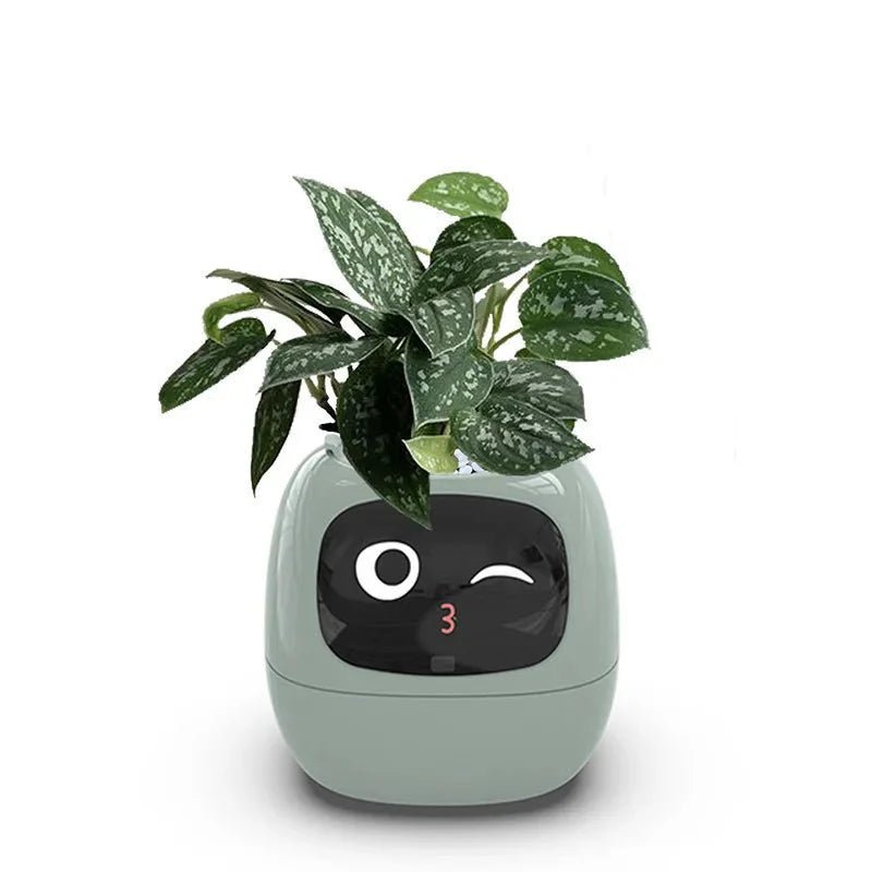 IVYBot: Smart Planter with AI - GiftMira
