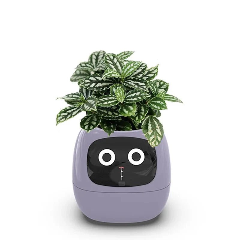 IVYBot: Smart Planter with AI - GiftMira