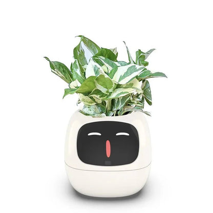 IVYBot: Smart Planter with AI - GiftMira