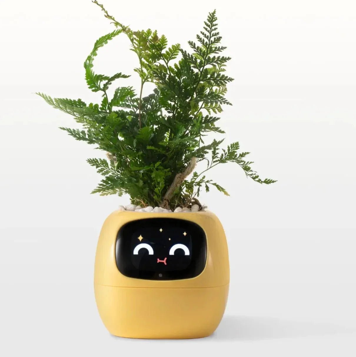 IVYBot: Smart Planter with AI - GiftMira