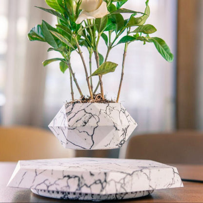 Magnetic Levitating Plant Pot – Floating 360° Rotating Bonsai Planter Succulent Home Decor Gift - GiftMira