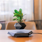 Magnetic Levitating Plant Pot – Floating 360° Rotating Bonsai Planter Succulent Home Decor Gift - GiftMira