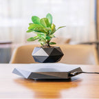 Magnetic Levitating Plant Pot – Floating 360° Rotating Bonsai Planter Succulent Home Decor Gift - GiftMira
