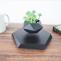 Magnetic Levitating Plant Pot – Floating 360° Rotating Bonsai Planter Succulent Home Decor Gift - GiftMira