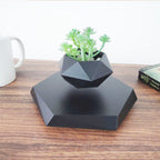 Magnetic Levitating Plant Pot – Floating 360° Rotating Bonsai Planter Succulent Home Decor Gift - GiftMira