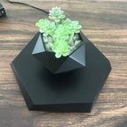 Magnetic Levitating Plant Pot – Floating 360° Rotating Bonsai Planter Succulent Home Decor Gift - GiftMira