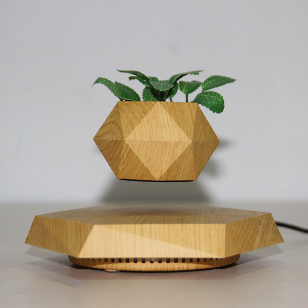 Magnetic Levitating Plant Pot – Floating 360° Rotating Bonsai Planter Succulent Home Decor Gift - GiftMira