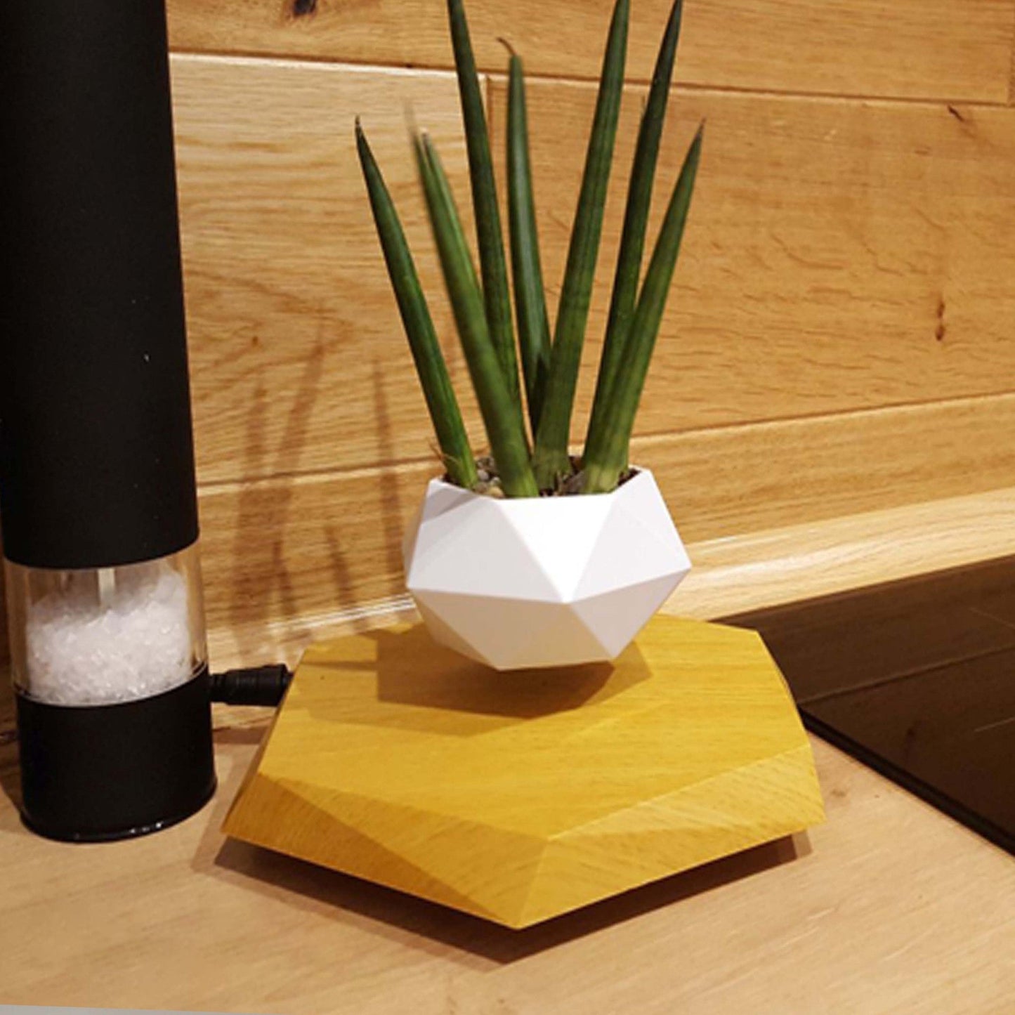 Magnetic Levitating Plant Pot – Floating 360° Rotating Bonsai Planter Succulent Home Decor Gift - GiftMira