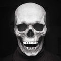 Movable Jaw Realistic Skull Mask - Best Full Head Halloween Latex Mask for Cosplay - GiftMira