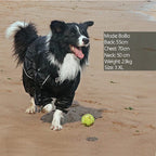 PawGuard: Pet Dog Coat Outdoor Jacket, Waterproof Winter Reflective Raincoat - GiftMira