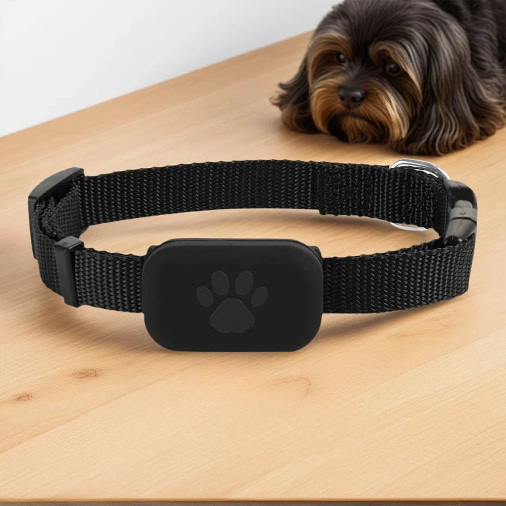 Pet GPS Tracker Adjustable Collar Dog Cat Real - Time Locator No Subscription No SIM 365 - Day Battery - GiftMira