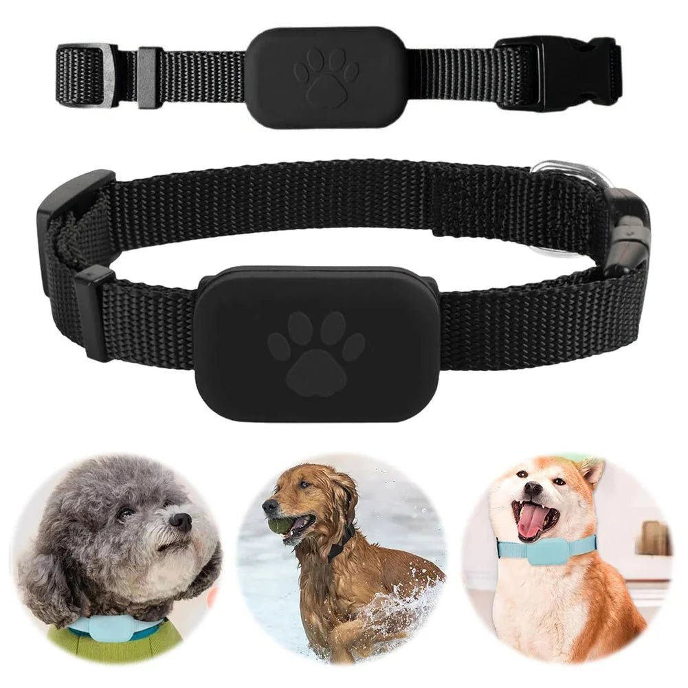 Pet GPS Tracker Adjustable Collar Dog Cat Real - Time Locator No Subscription No SIM 365 - Day Battery - GiftMira