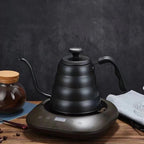 Professional Hand - Brewed Coffee Kettle with Thermometer l Hand Brewed Coffee Maker - GiftMira