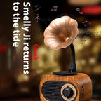 Retro Wood Bluetooth Speaker Portable Wireless Mini Speaker with FM Radio, TF Card Support, MP3 Playback & Bass Subwoofer – Gift Speaker for Home Use - GiftMira