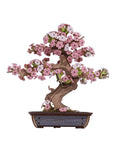 Rolife™Eternal Bonsai Series | 3D Wooden Sakura & Evergreen Pine Puzzle Kit - GiftMira