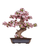 Rolife™Eternal Bonsai Series | 3D Wooden Sakura & Evergreen Pine Puzzle Kit - GiftMira