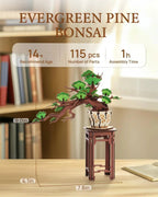 Rolife™Eternal Bonsai Series | 3D Wooden Sakura & Evergreen Pine Puzzle Kit - GiftMira