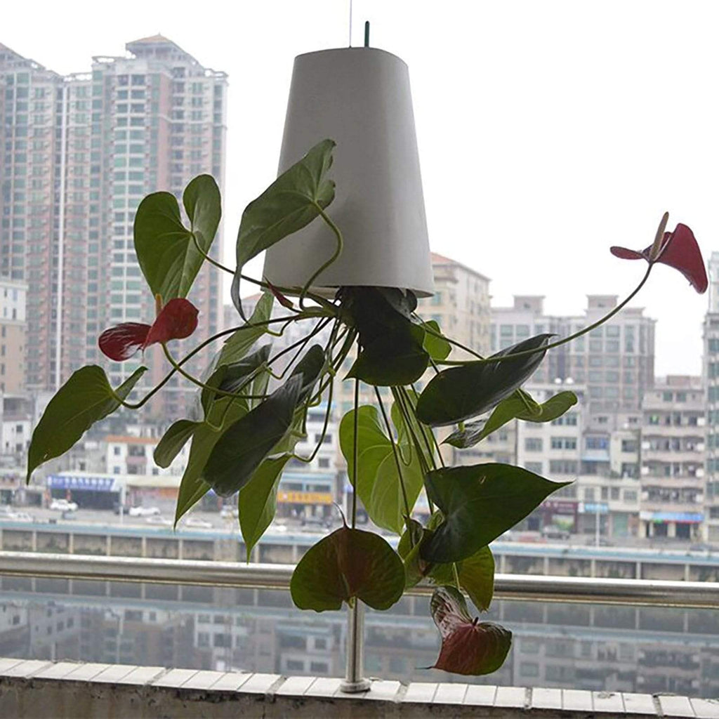 Sky Garden - Upside - Down Plant Flower Pot Hanging Planter - GiftMira