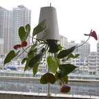 Sky Garden - Upside - Down Plant Flower Pot Hanging Planter - GiftMira