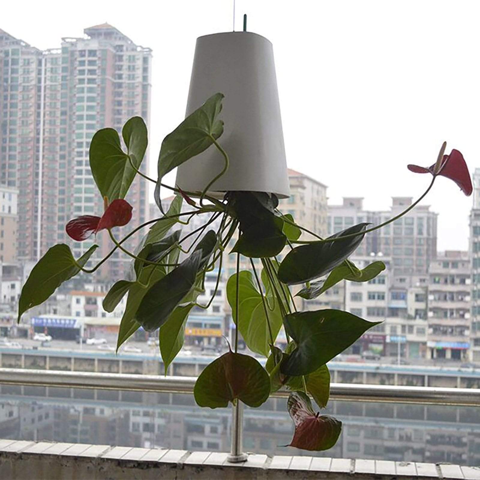 Sky Garden - Upside - Down Plant Flower Pot Hanging Planter - GiftMira