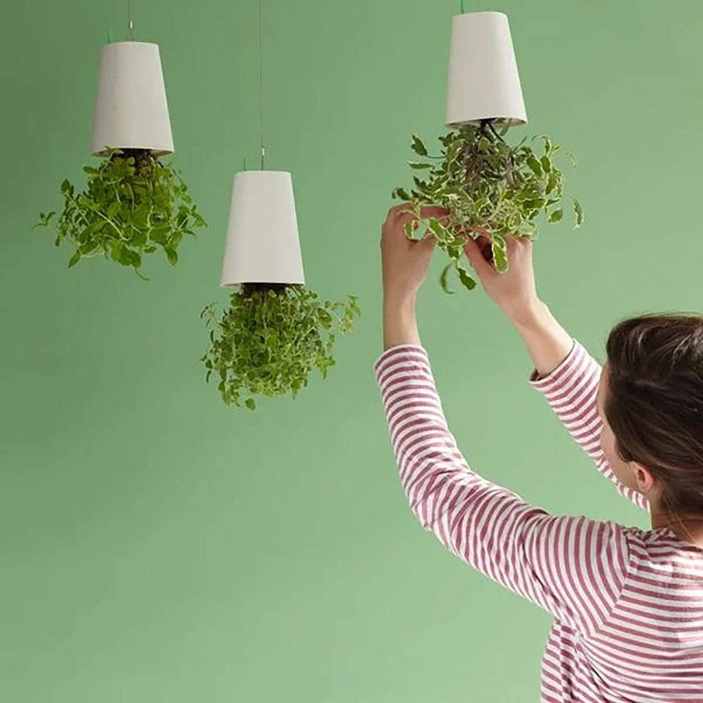 Sky Garden - Upside - Down Plant Flower Pot Hanging Planter - GiftMira