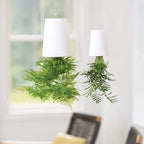 Sky Garden - Upside - Down Plant Flower Pot Hanging Planter - GiftMira